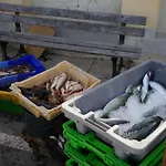 Le Calypso Les Pieds Dans L'eau 10 M