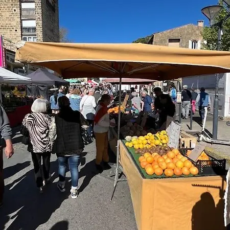 Le Calypso Les Pieds Dans L'eau 10 M * La Seyne-sur-Mer