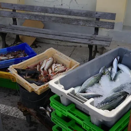 Le Calypso Les Pieds Dans L'eau 10 M